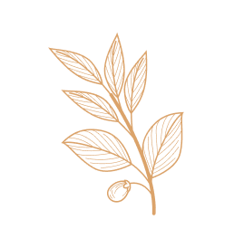 Bar Ristorante Tabacchi Sofia