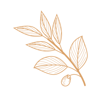 Bar Ristorante Tabacchi Sofia